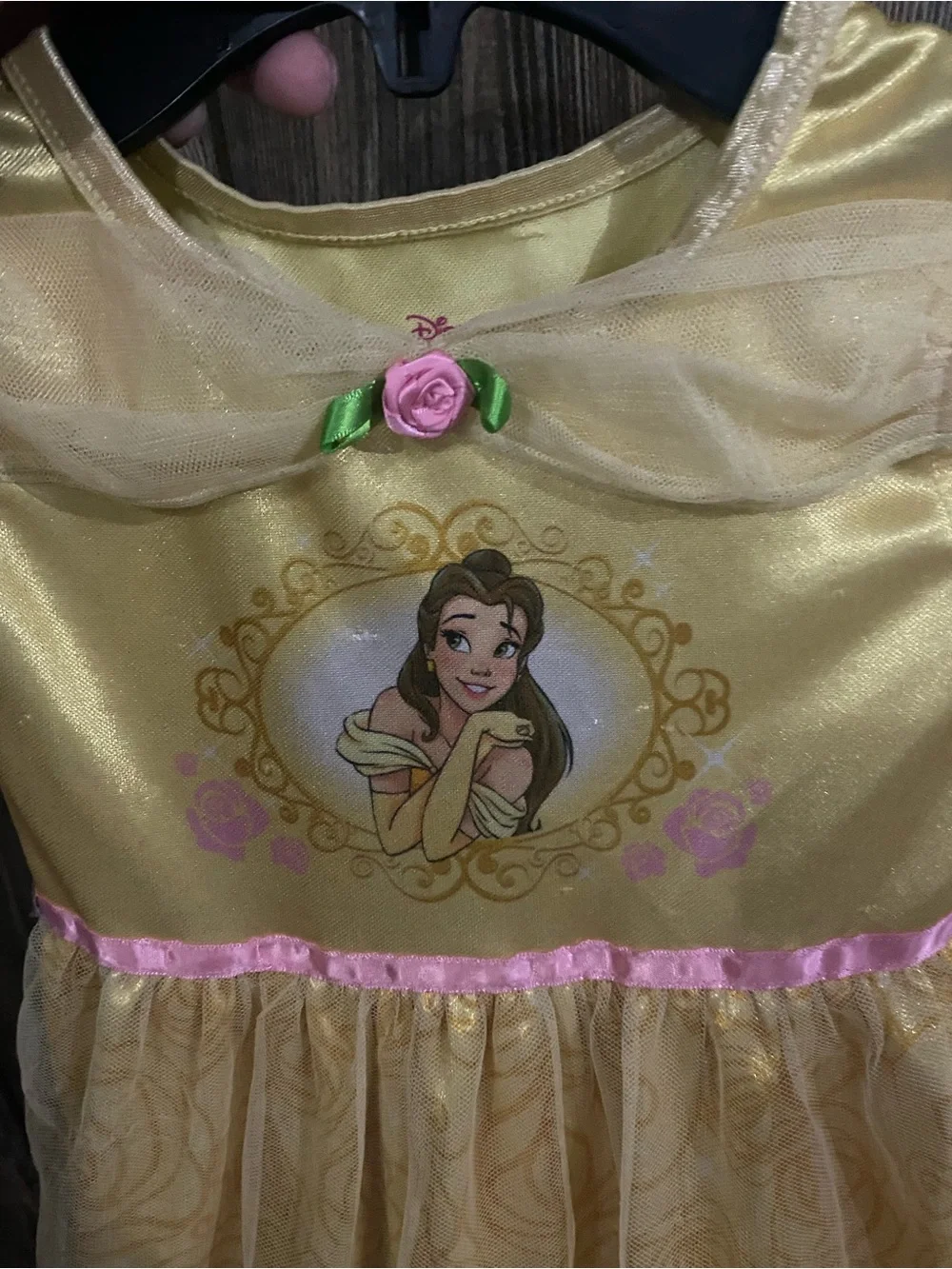 Disney beautiful princess